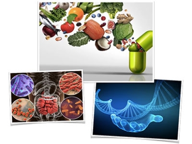 Gut Health - The Core Message